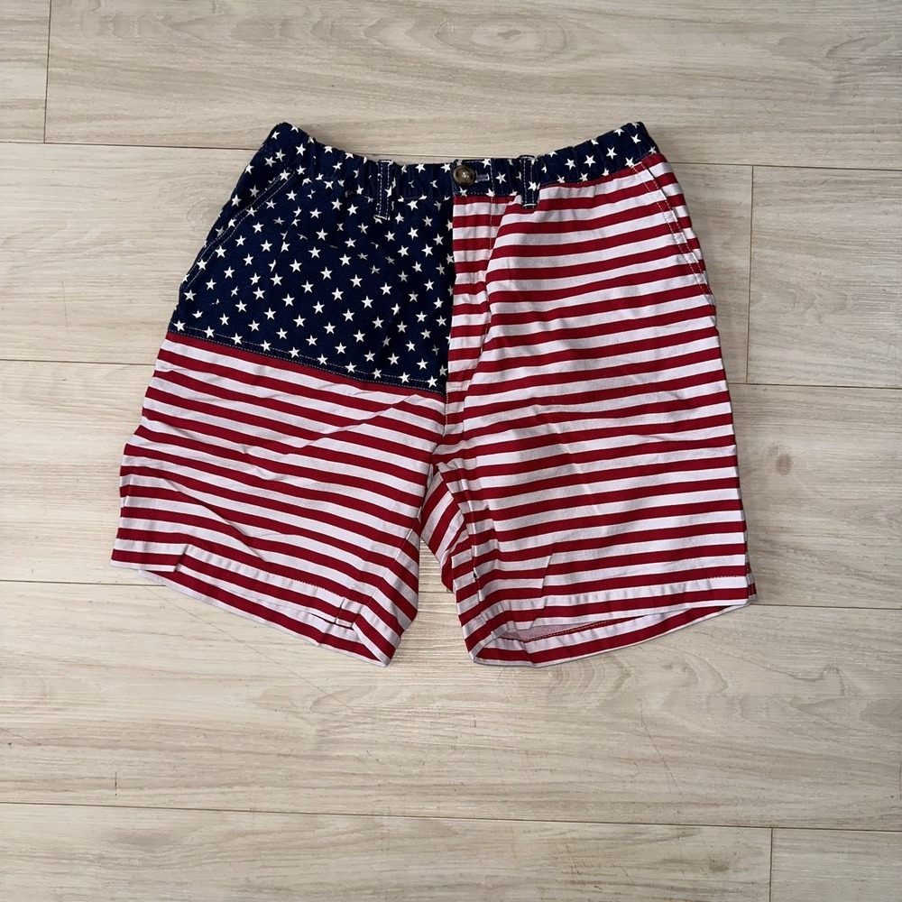 CHUBBIES Men's The 'Mericas USA American Flag Elastic Waist  Shorts Men's Medium